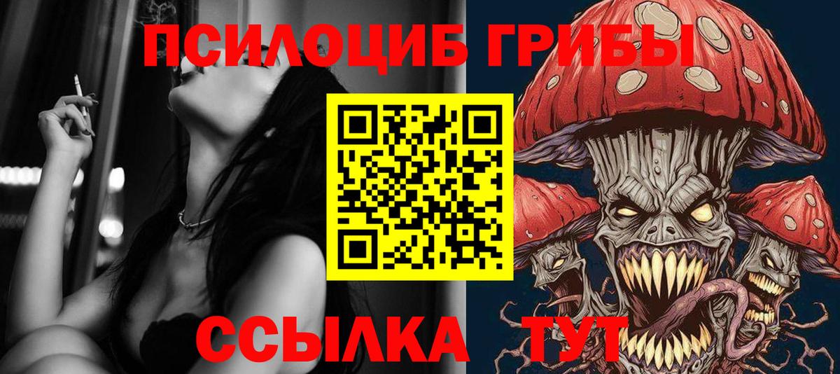 Псилоцибиновые грибы GOLDEN TEACHER Артёмовский